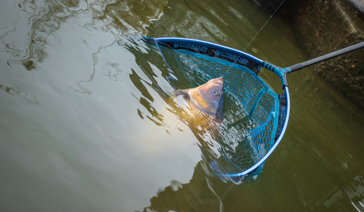 Preston Innovations Latex Carp Landing Nets Matchman Supplies